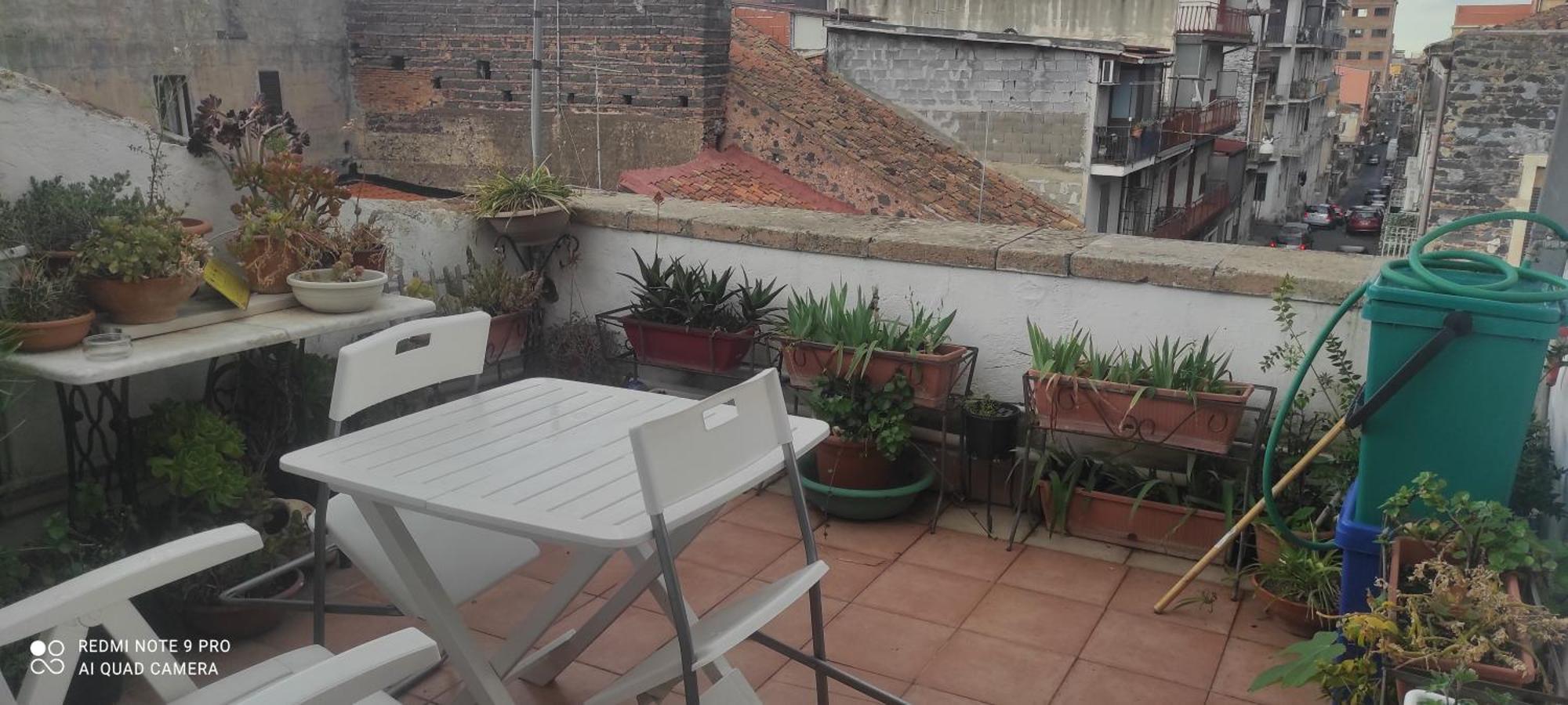 Appartamento Vacanzella
